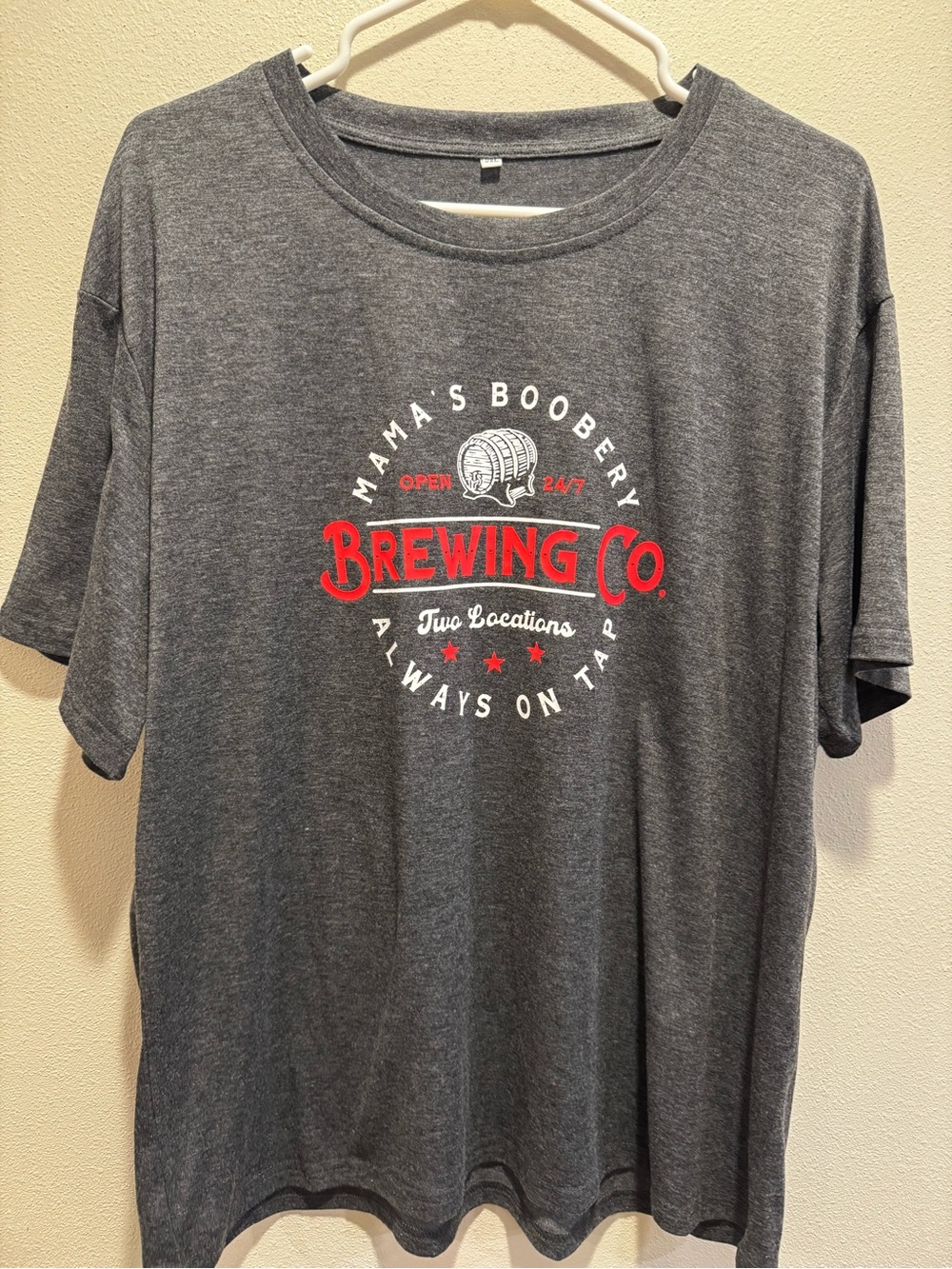 NWOT Women’s Breastfeeding Gray Short Sleeve Brewing Co Graphic Tee